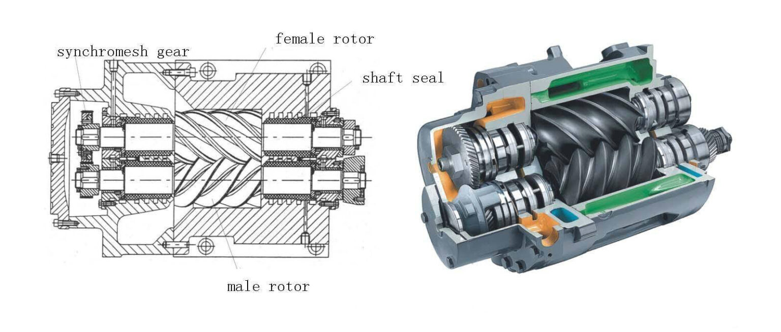 rotary-screw-inside